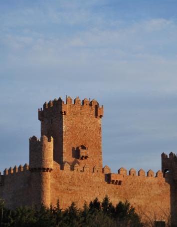 Castillo de Guijosa, SXIV.