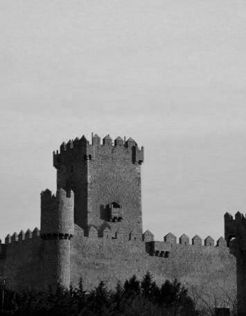 Castillo de Guijosa, SXIV.